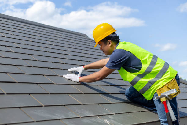 Best Local Roofing Companies  in Silver Grove, KY