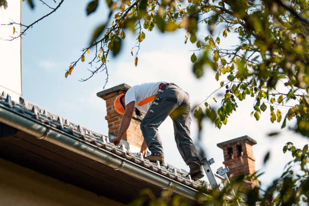 Best Residential Roof Replacement  in Silver Grove, KY