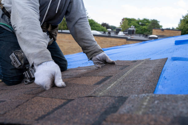 Best Commercial Roofing Services  in Silver Grove, KY