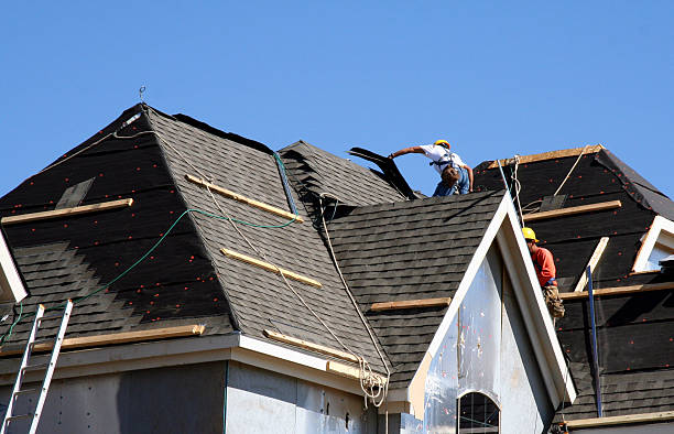 Best Shingle Roofing Installation  in Silver Grove, KY