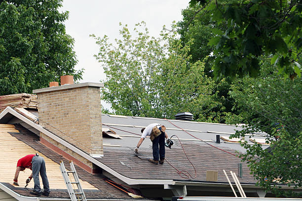Best Metal Roofing Contractor  in Silver Grove, KY