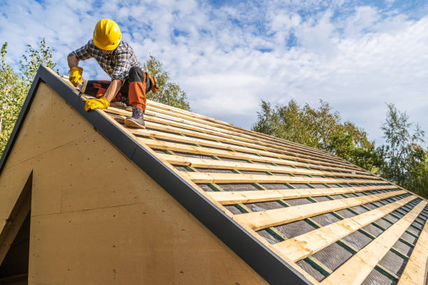Best Flat Roof Repair Services  in Silver Grove, KY