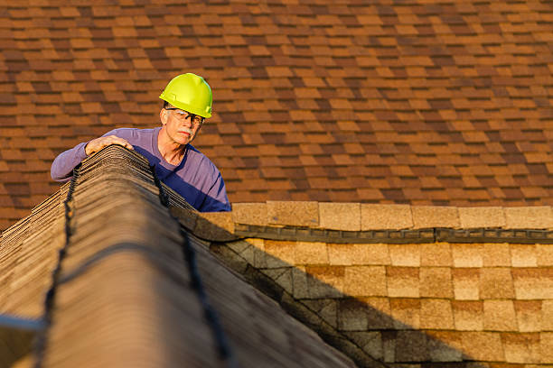 Best Roof Replacement Cost  in Silver Grove, KY