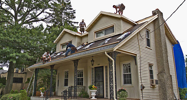 Best Storm Damage Roof Repair  in Silver Grove, KY