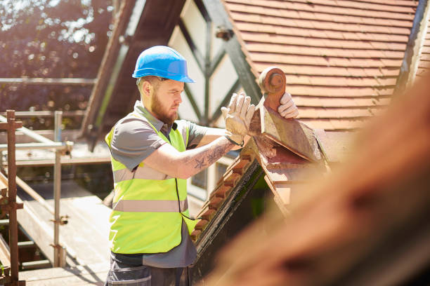 Best Roof Restoration Services  in Silver Grove, KY