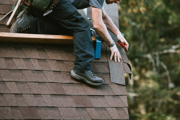Best Roof Waterproofing Services  in Silver Grove, KY