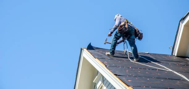 Best Flat Roof Repair Services  in Silver Grove, KY